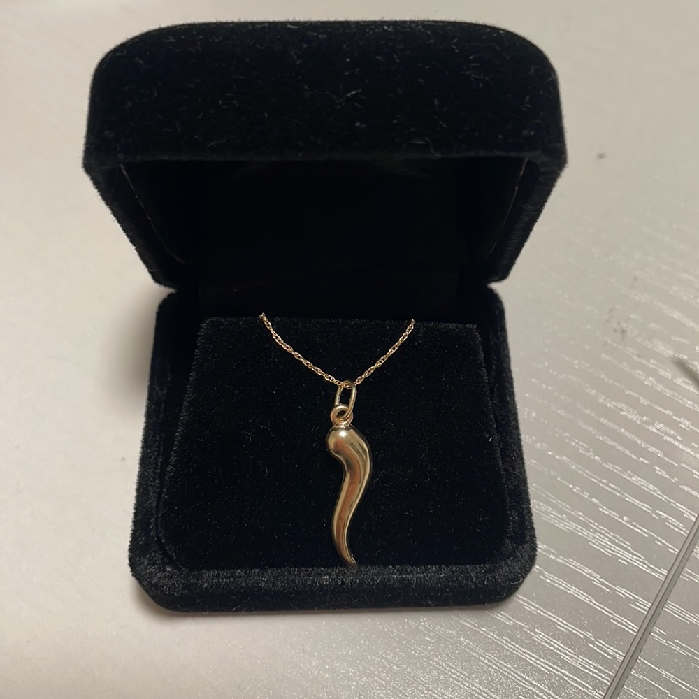 10k Italian Horn Charm & 10k Chain